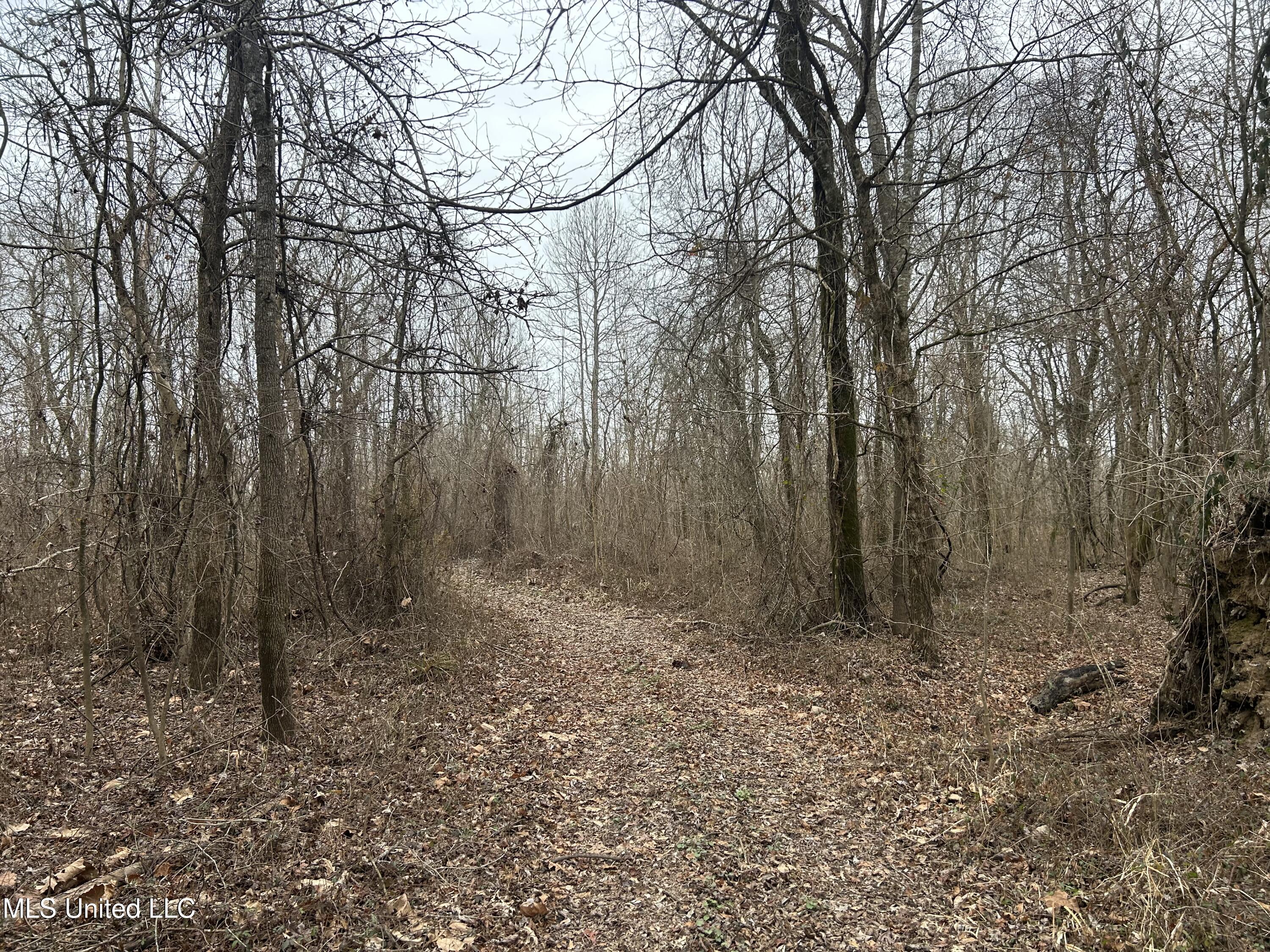 Campbell Swamp Road Vicksburg, MS 39180 - Photo 18 of 43 IMG_4816