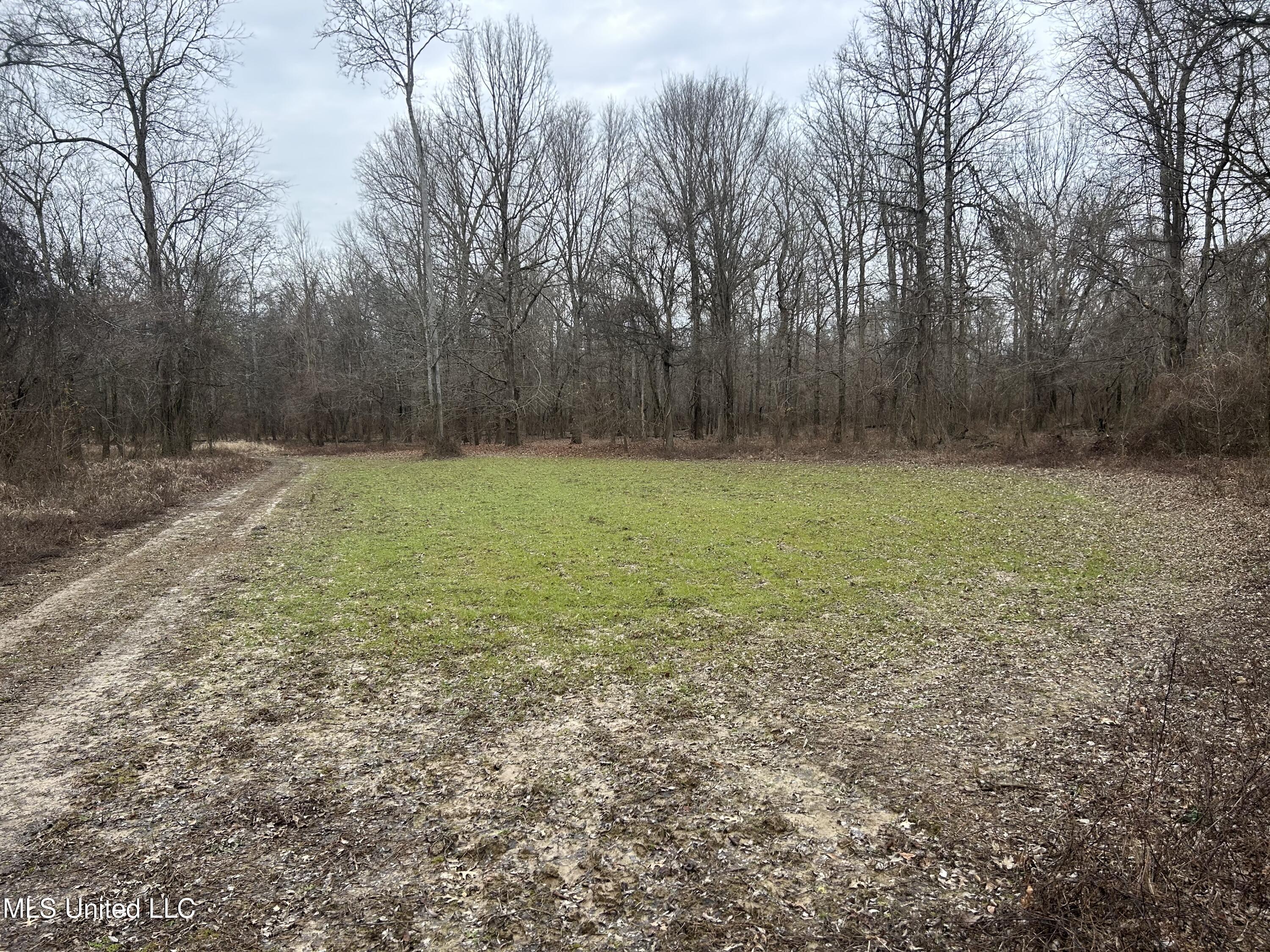 Campbell Swamp Road Vicksburg, MS 39180 - Photo 25 of 43 IMG_4809