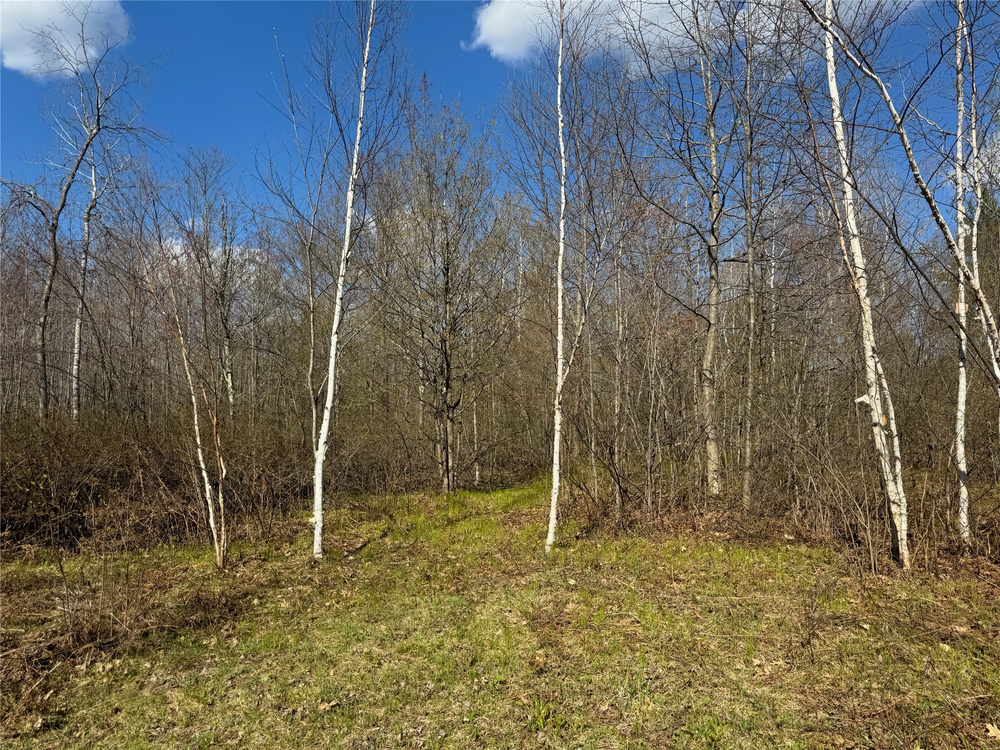 1-2 Trapper Trail Hayward, WI 54843 - Photo 19 of 35