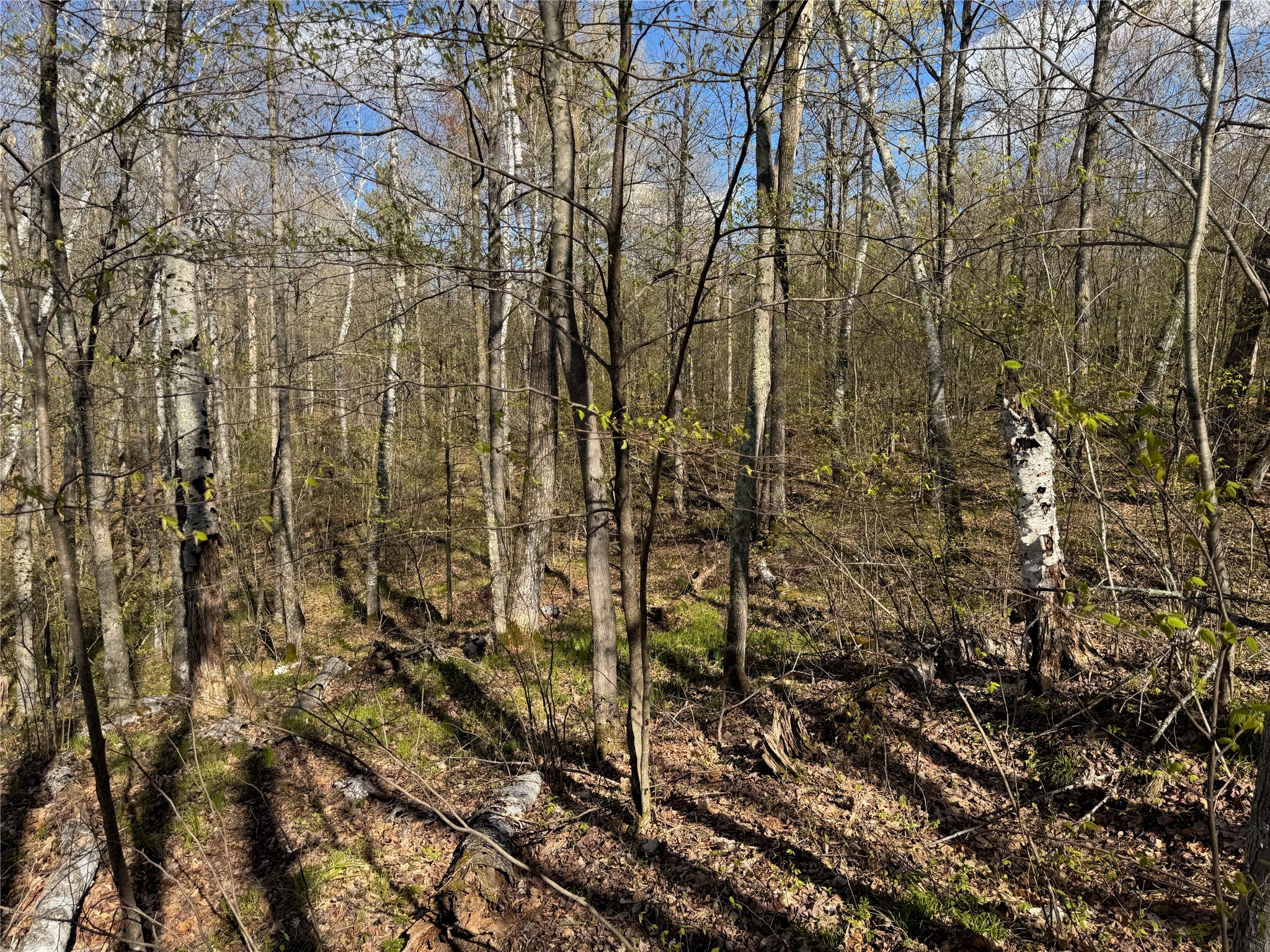 1-2 Trapper Trail Hayward, WI 54843 - Photo 21 of 35
