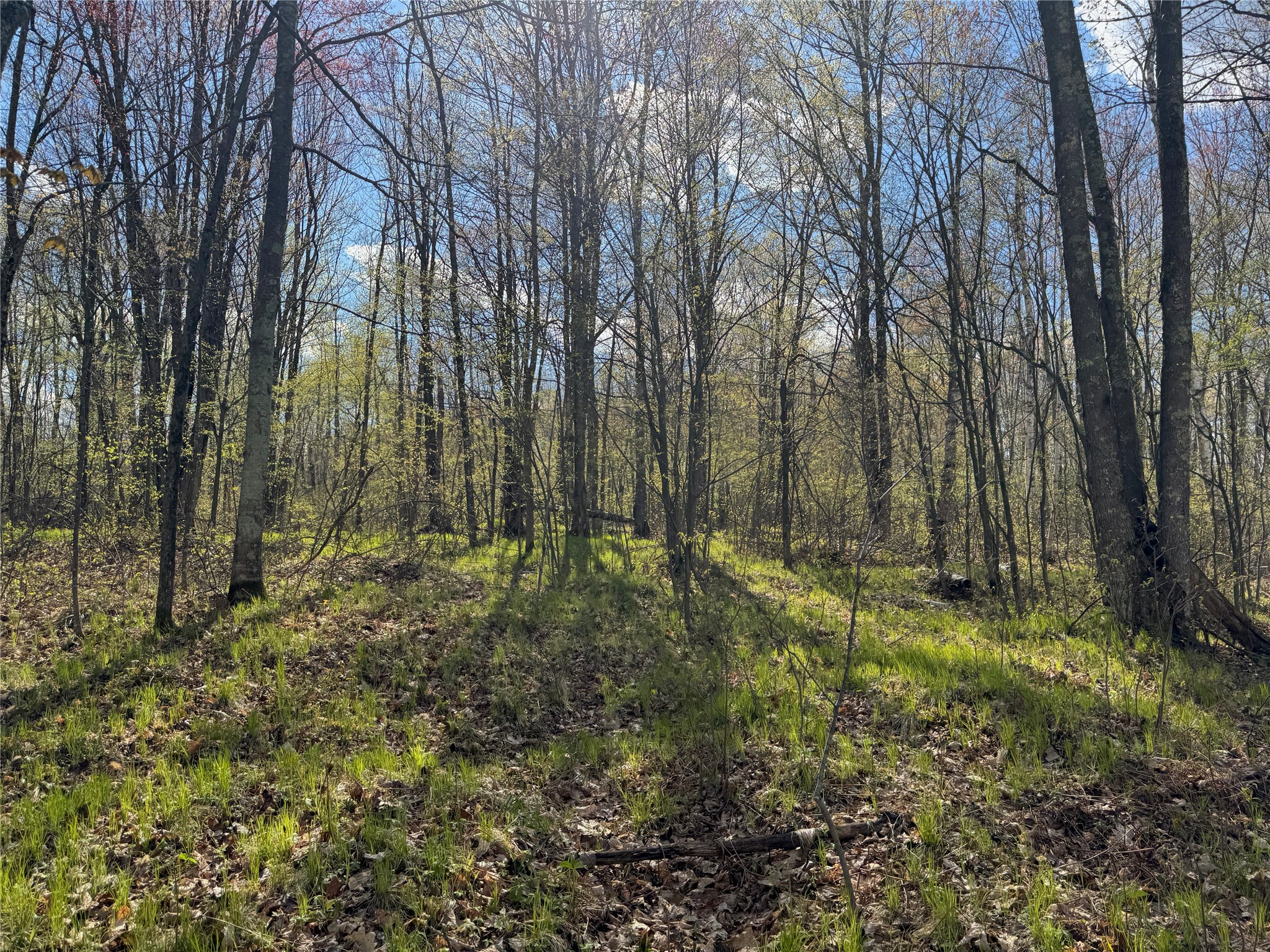 1-2 Trapper Trail Hayward, WI 54843 - Photo 22 of 35