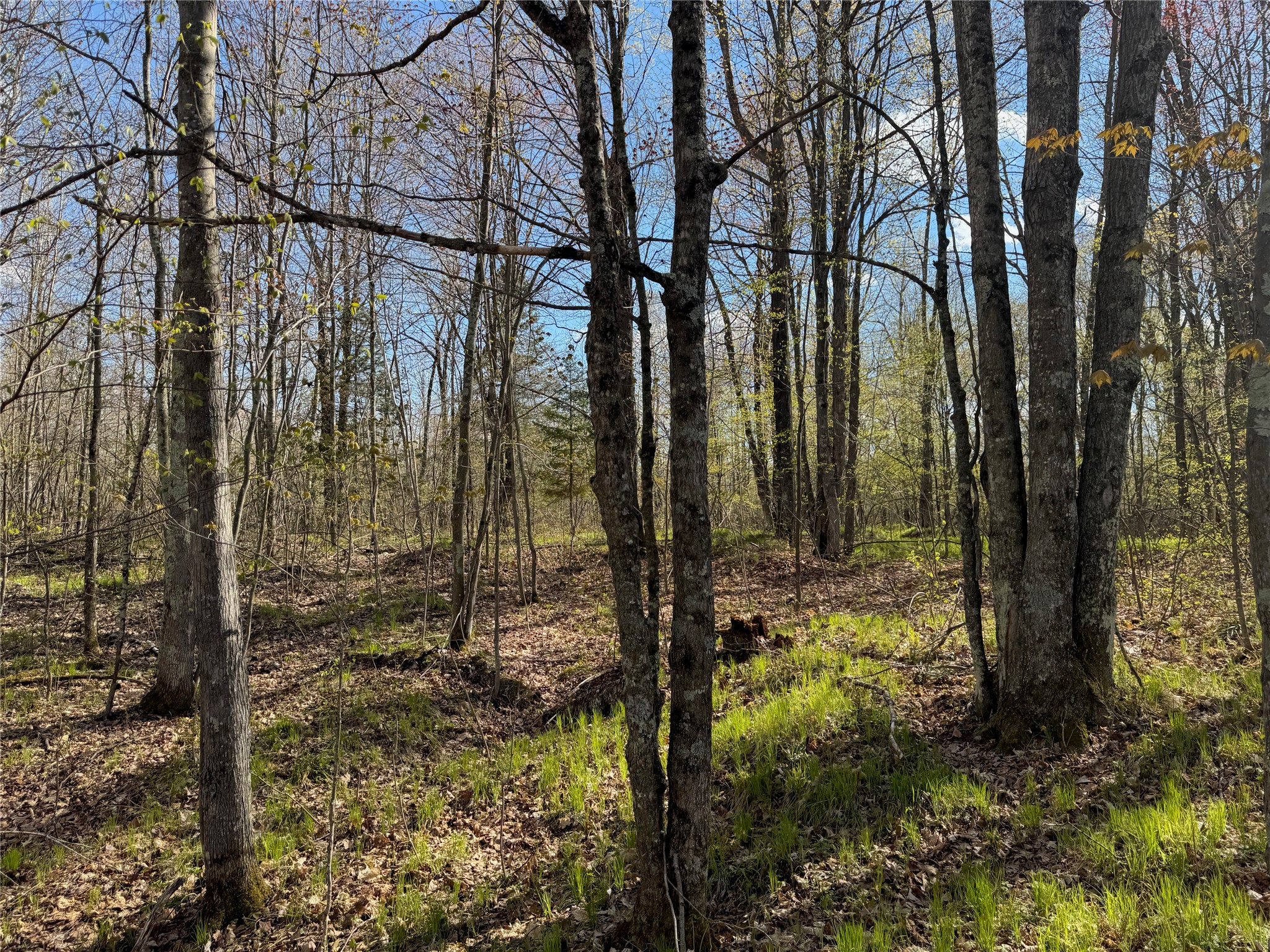 1-2 Trapper Trail Hayward, WI 54843 - Photo 23 of 35