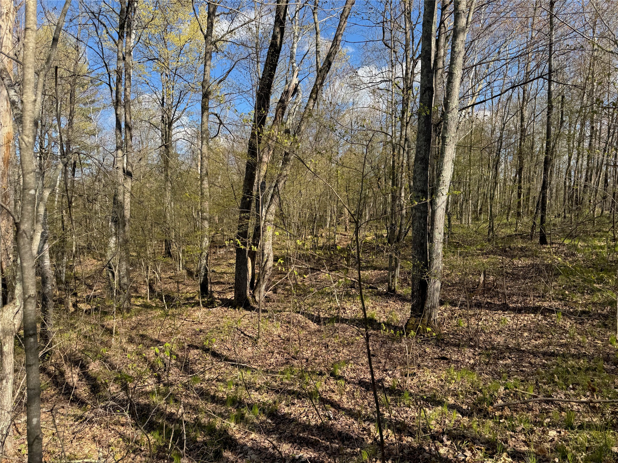 1-2 Trapper Trail Hayward, WI 54843 - Photo 24 of 35