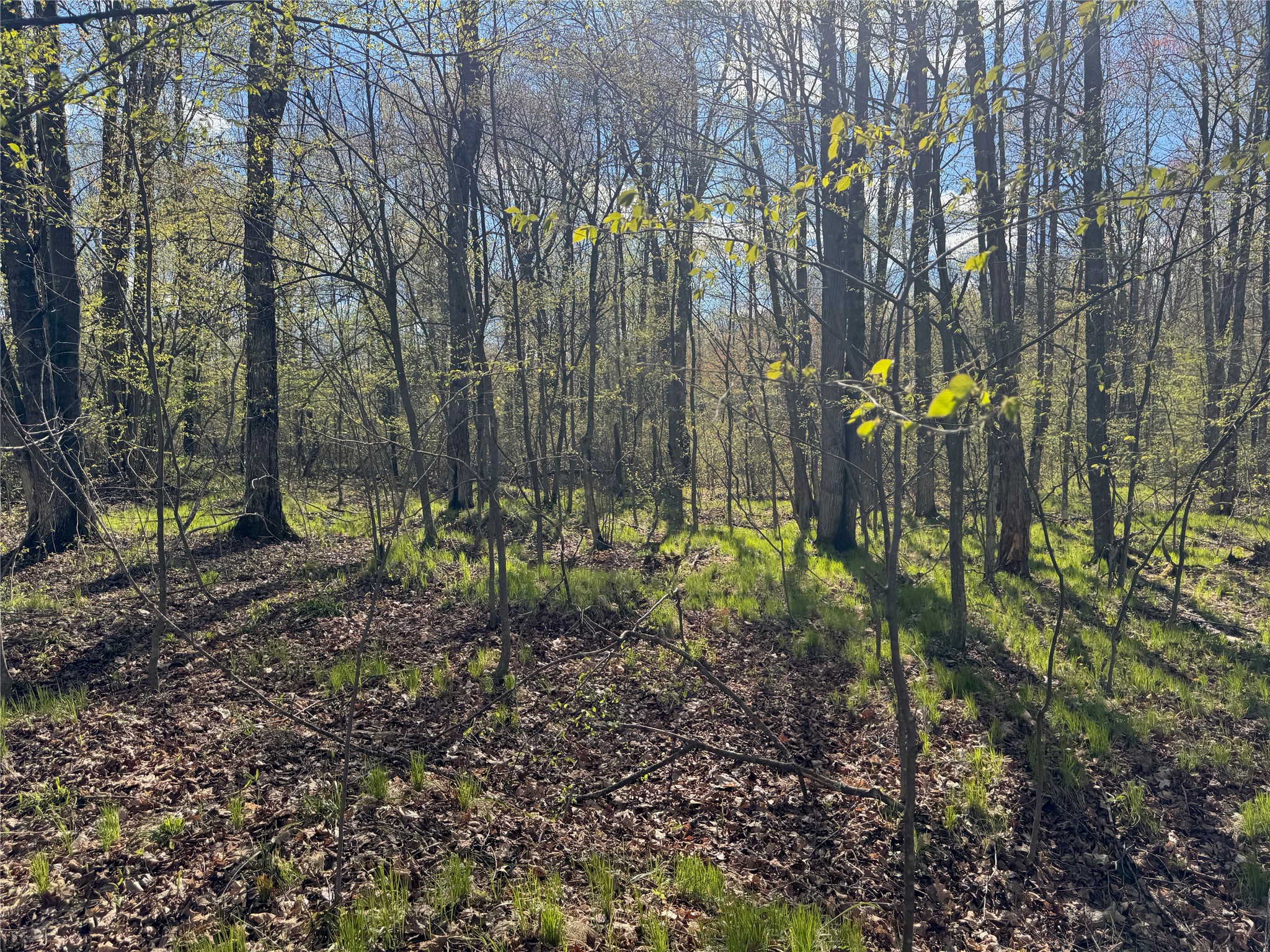 1-2 Trapper Trail Hayward, WI 54843 - Photo 25 of 35