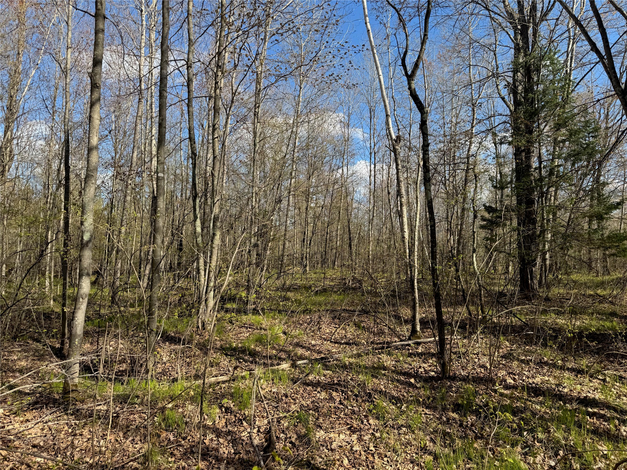 1-2 Trapper Trail Hayward, WI 54843 - Photo 26 of 35
