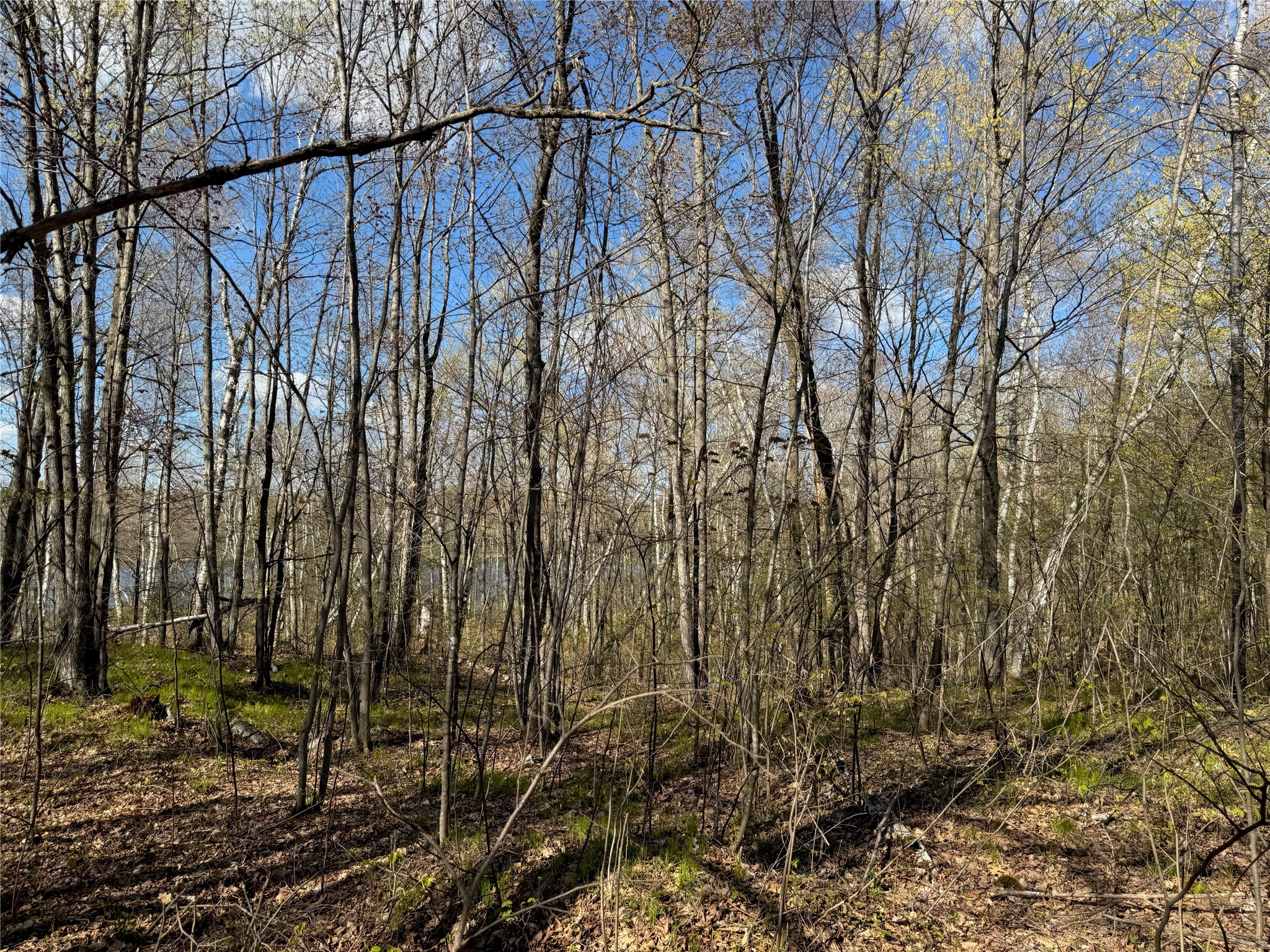 1-2 Trapper Trail Hayward, WI 54843 - Photo 27 of 35