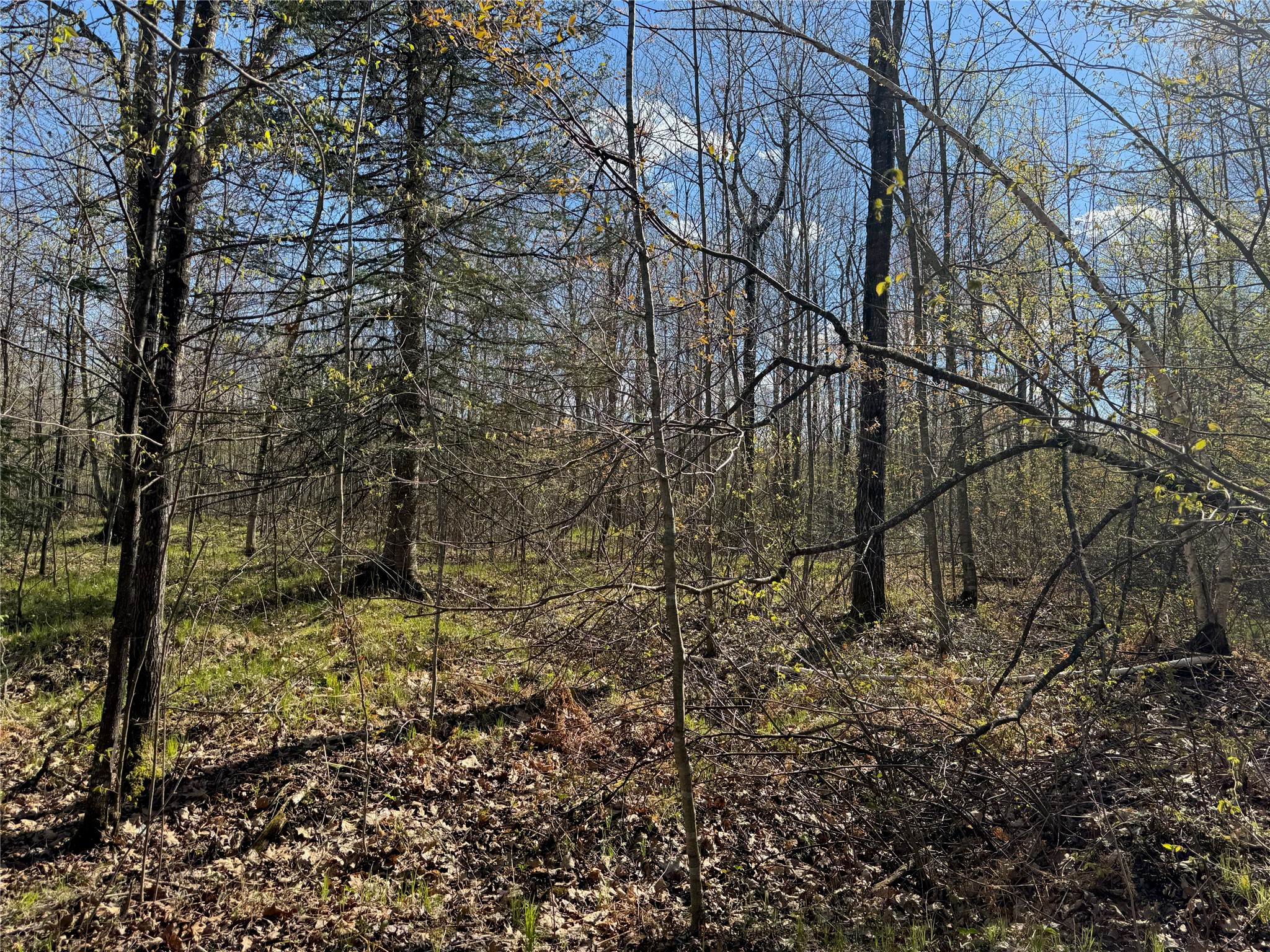 1-2 Trapper Trail Hayward, WI 54843 - Photo 28 of 35