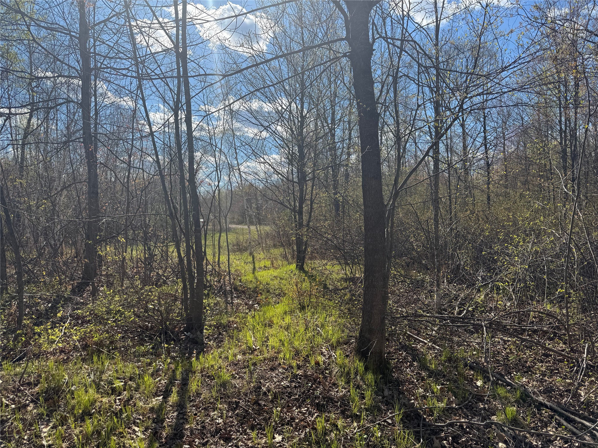1-2 Trapper Trail Hayward, WI 54843 - Photo 29 of 35