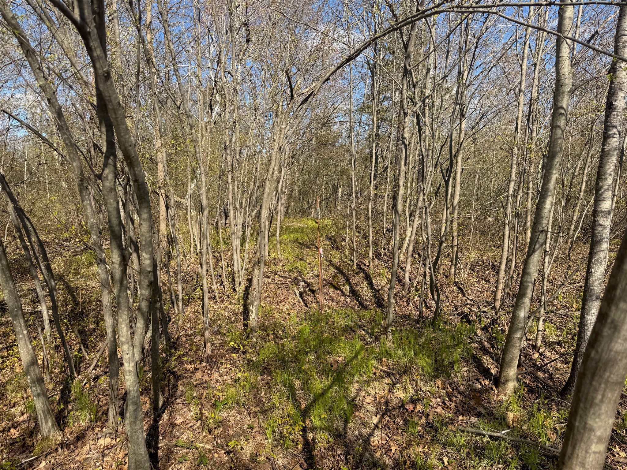 1-2 Trapper Trail Hayward, WI 54843 - Photo 30 of 35