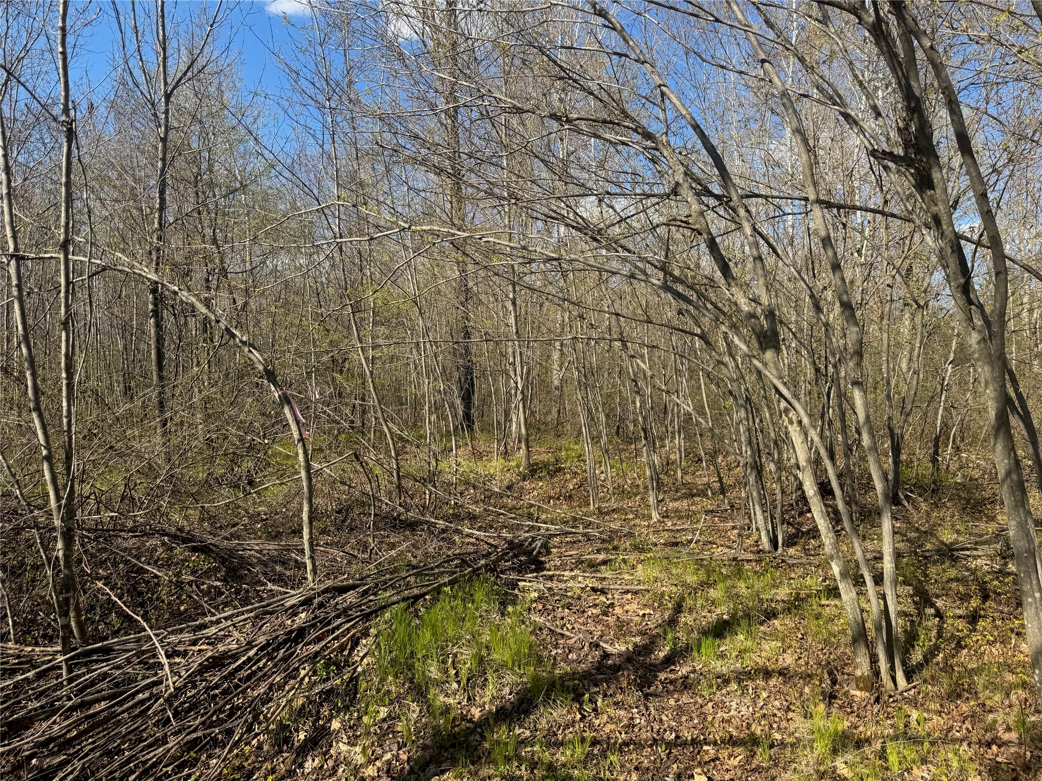 1-2 Trapper Trail Hayward, WI 54843 - Photo 31 of 35