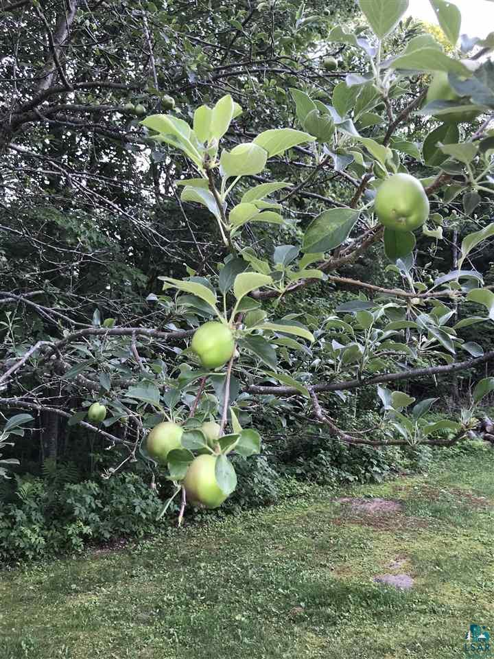 5489 Rice Lake Road Duluth, MN 55803 - Photo 20 of 22 Apples