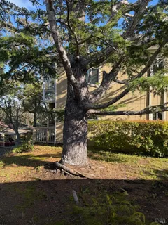 $849,000 | 3 Fielding Circle, Mill Valley, CA 94941