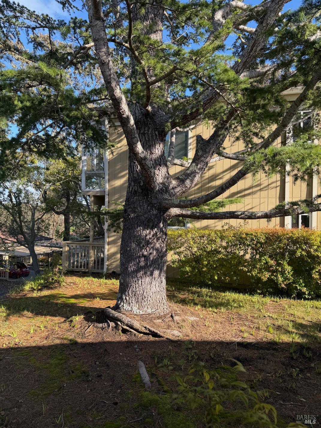 3 Fielding Circle Mill Valley, CA 94941 - Photo 20 of 36