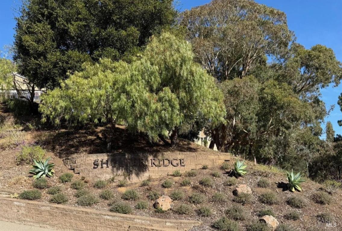 3 Fielding Circle Mill Valley, CA 94941 - Photo 23 of 36