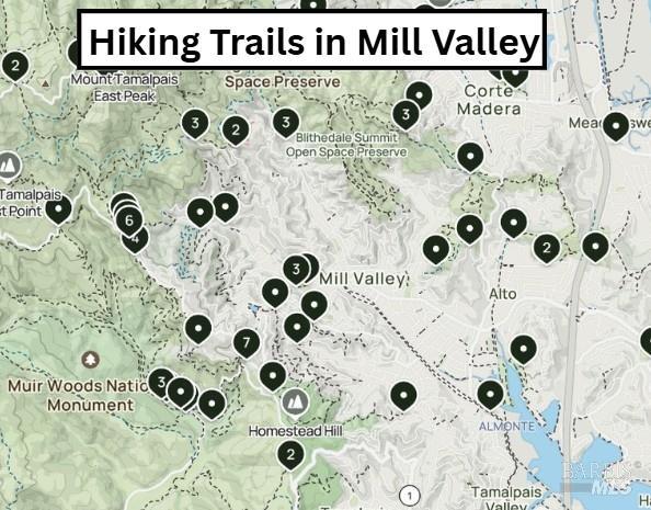 3 Fielding Circle Mill Valley, CA 94941 - Photo 30 of 36