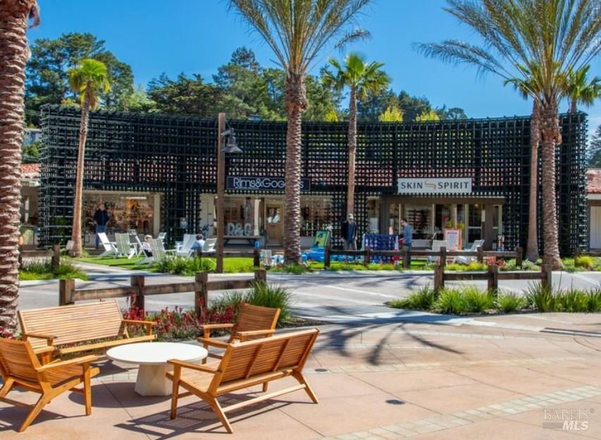 3 Fielding Circle Mill Valley, CA 94941 - Photo 32 of 36