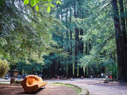 $849,000 | 3 Fielding Circle, Mill Valley, CA 94941