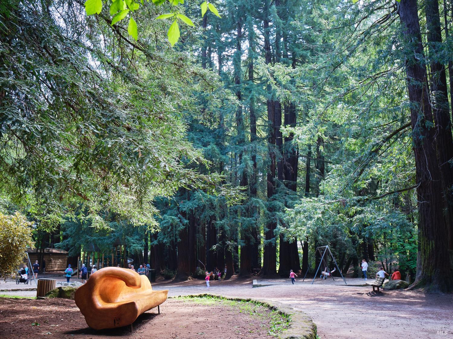 3 Fielding Circle Mill Valley, CA 94941 - Photo 35 of 36