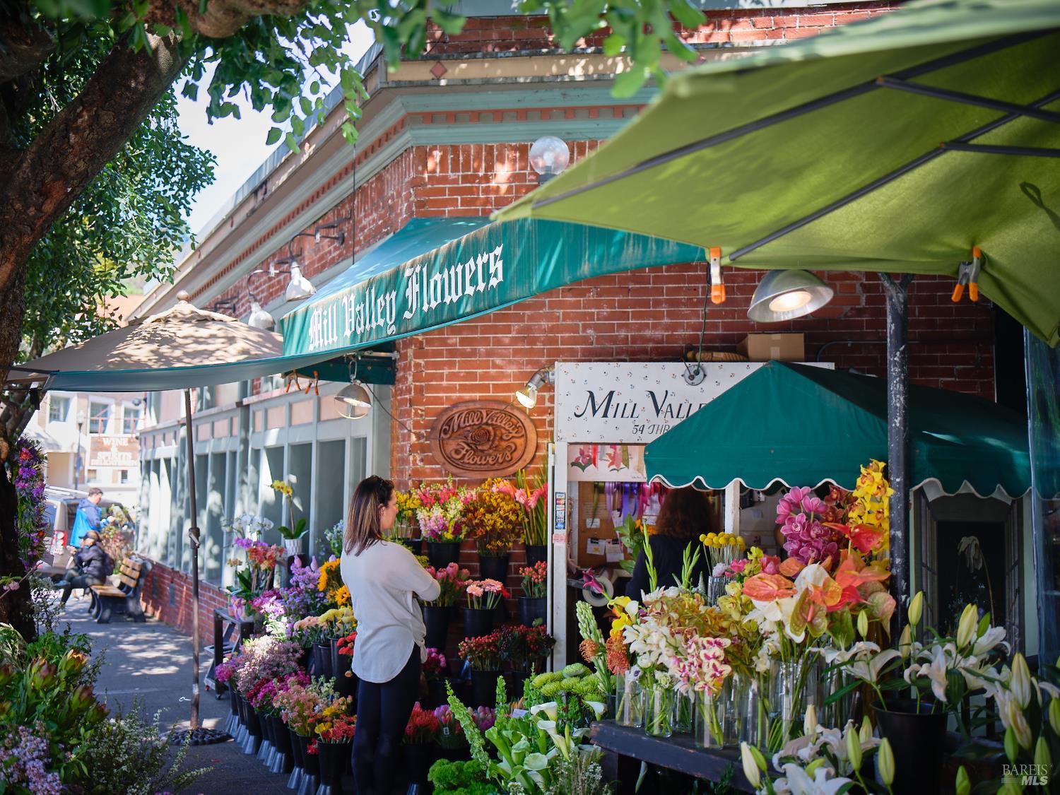 3 Fielding Circle Mill Valley, CA 94941 - Photo 36 of 36