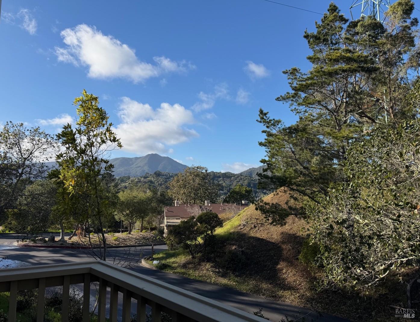 3 Fielding Circle Mill Valley, CA 94941 - Photo 6 of 36