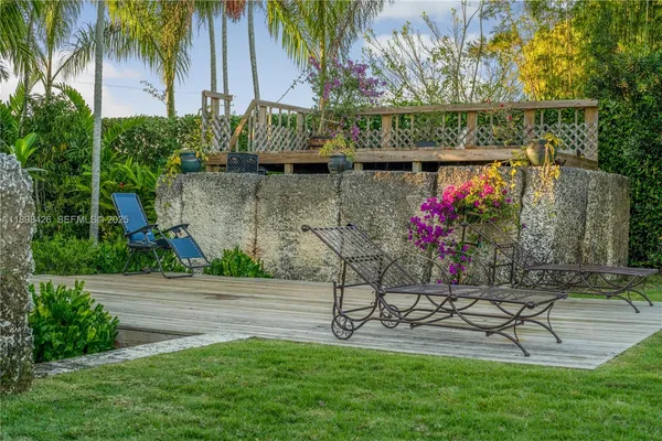 a garden with plants and palm trees