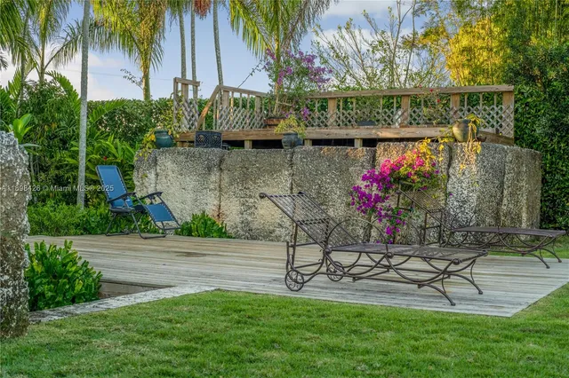 a garden with plants and palm trees