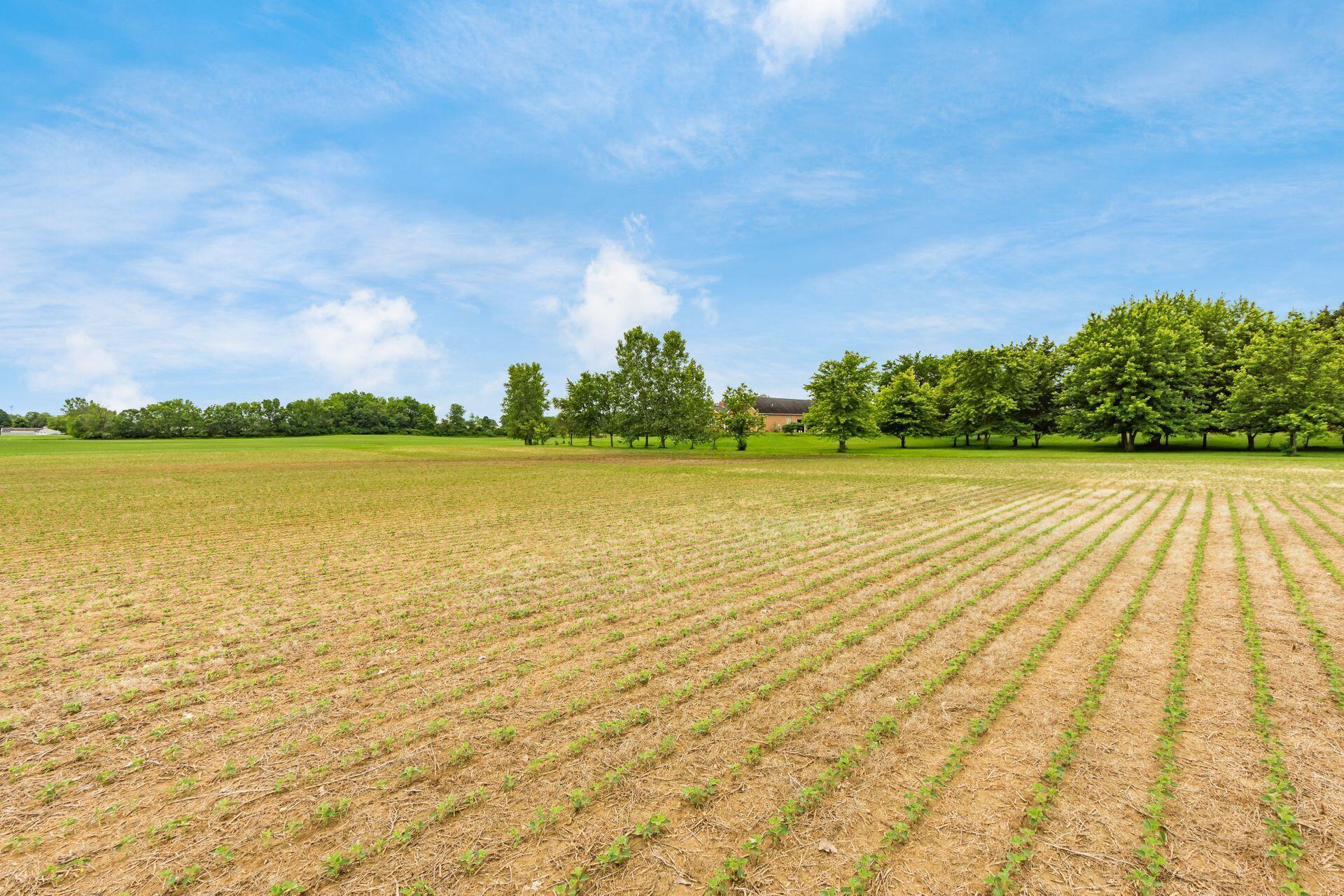 788 Alton Road Galloway, OH 43119 - Photo 53 of 68 Farmed area