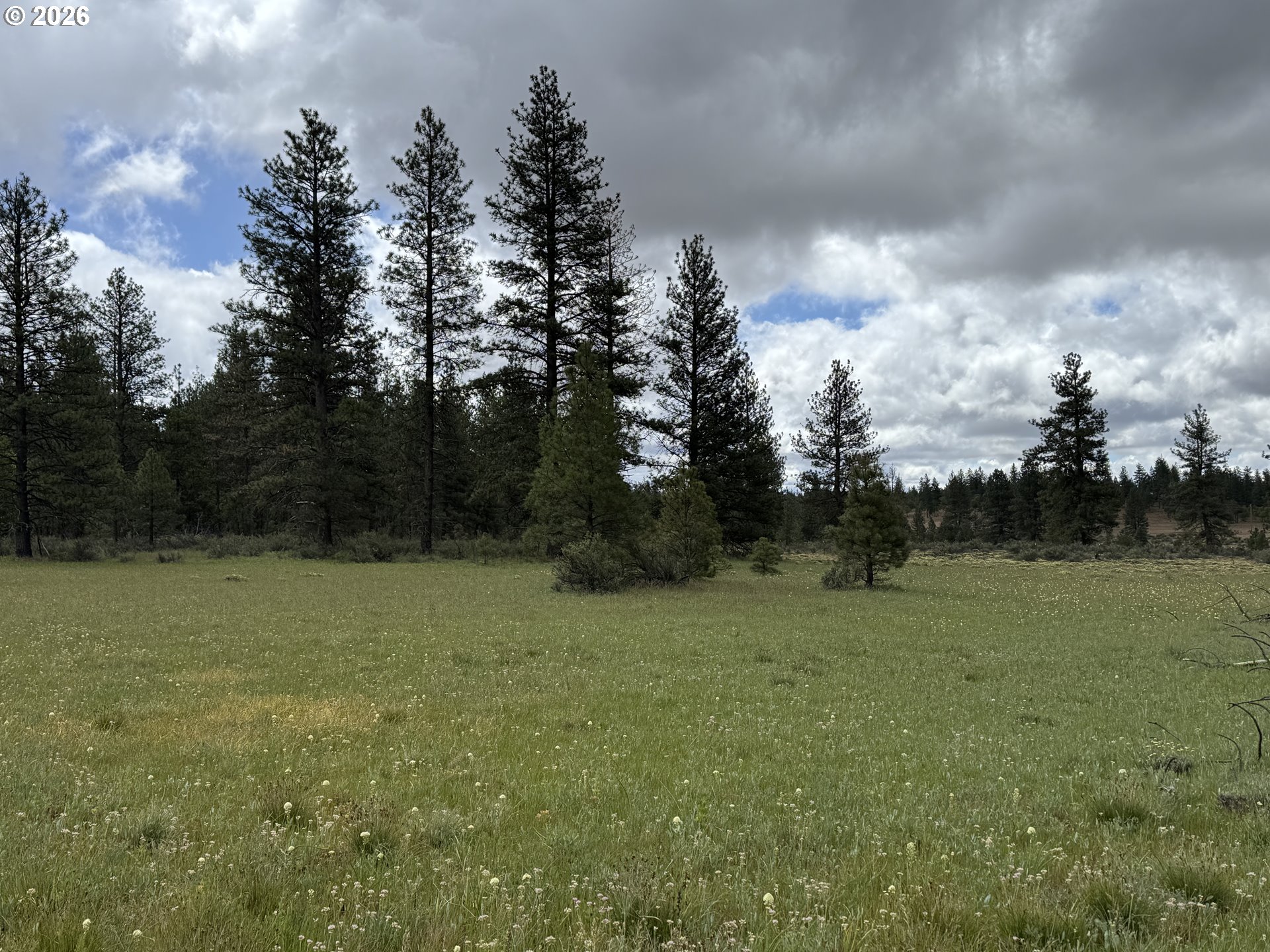 Old Mountain Road Goldendale, WA 98620 - Photo 32 of 41