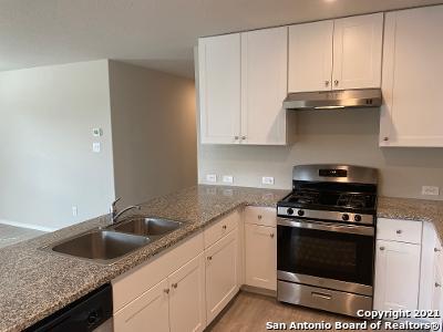 31568 Meander Lane Bulverde, TX 78163 - Photo 9 of 20