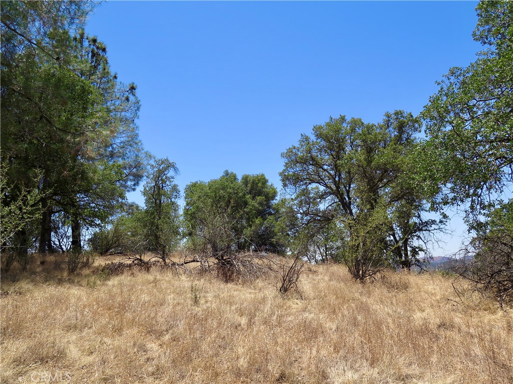 0 Ramblin Road Mariposa, CA 95338 - Photo 12 of 13