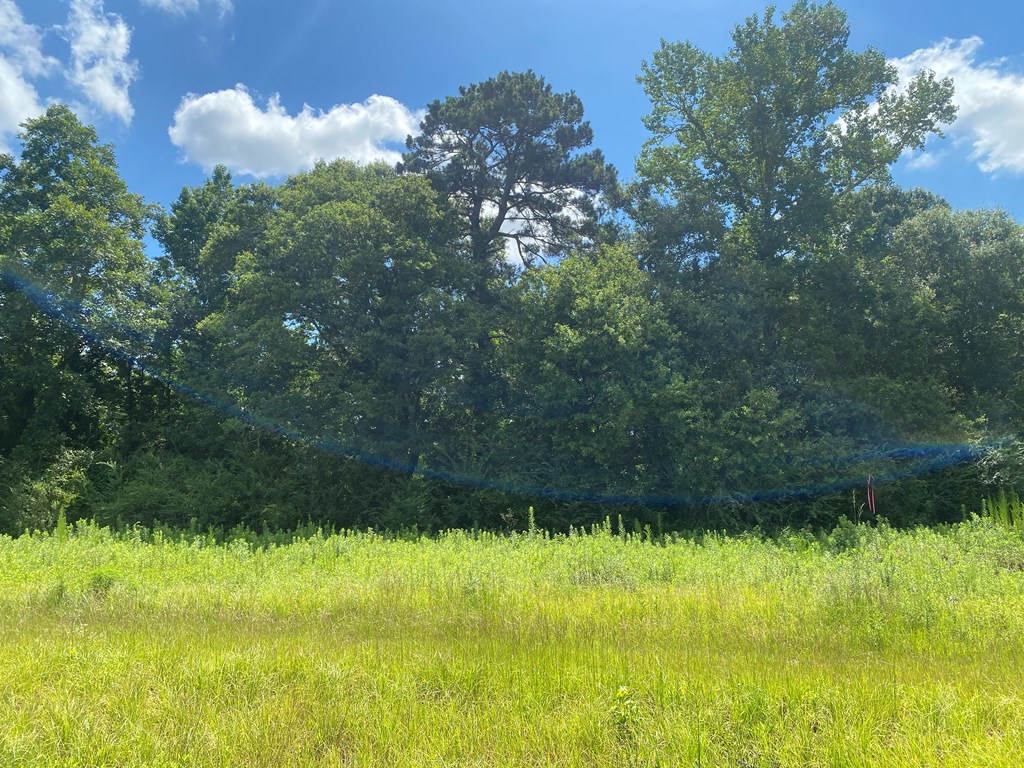 16-ac 16-ac National Road Dothan, AL 36301 - Photo 32 of 45
