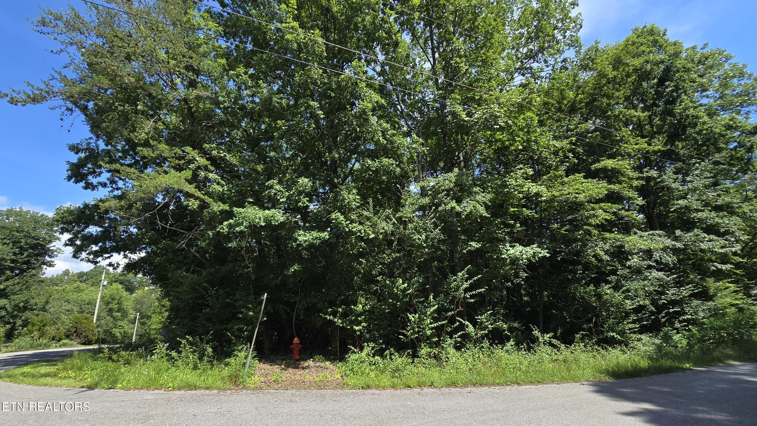 200 Rhododendron Circle Crossville, TN 38555 - Photo 2 of 3 200 RHODODENDRON CIRCLE 1