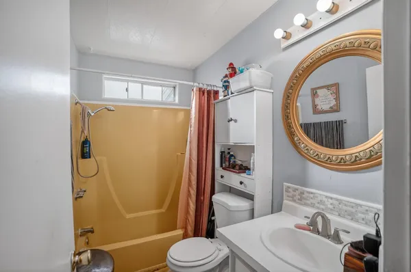 a bathroom with a sink a mirror a toilet and a shower