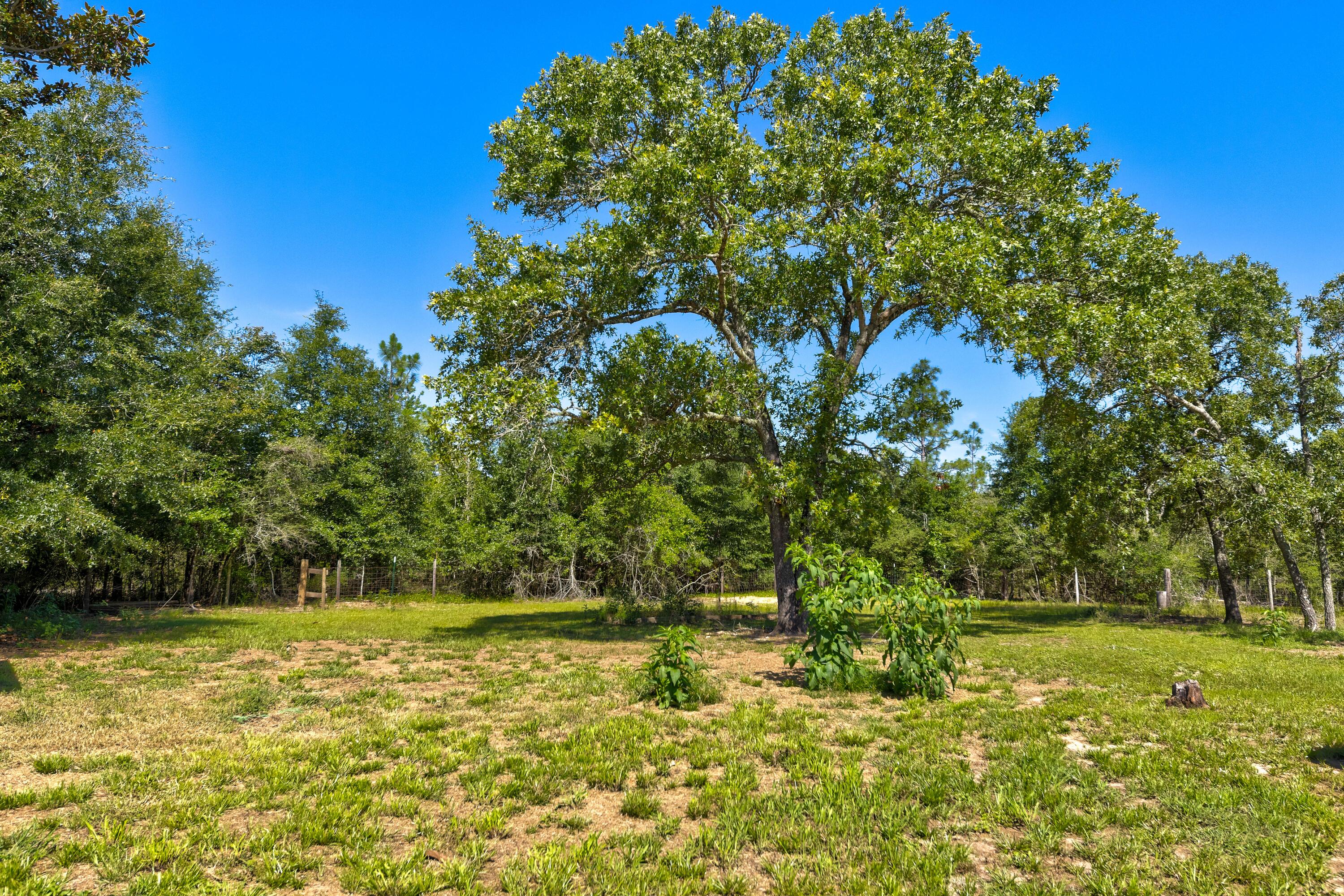 6624 Bill Lundy Road Laurel Hill, FL 32567 - Photo 12 of 34 Gallery Image 12
