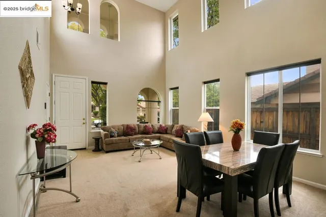 a living room with furniture potted plant and large windows
