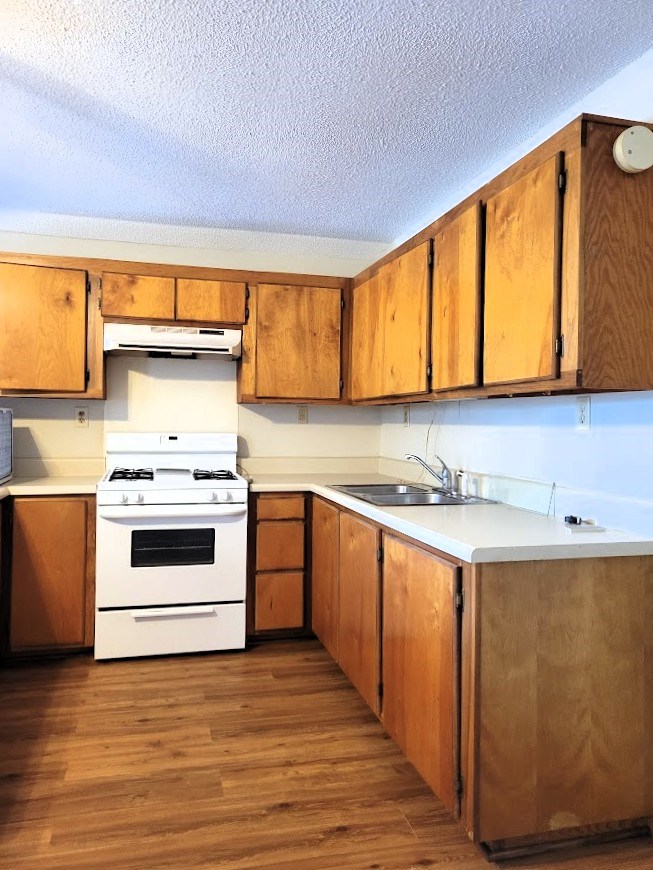 355 Eden Hall Road Troy, SC 29848 - Photo 16 of 37 Gallery Image 16