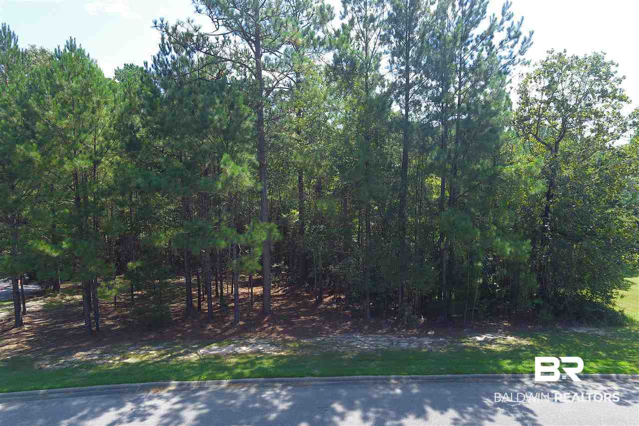 41 Juniper Creek Road Castleberry, AL 36432 - Photo 7 of 10