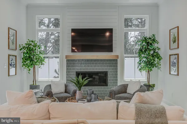 a living room with furniture a potted plant and a fireplace