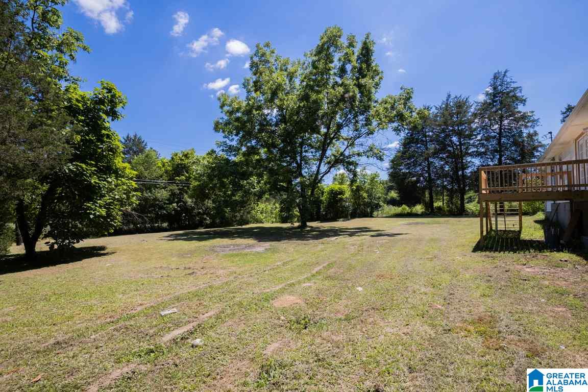 21720 Highway 75 Oneonta, AL 35121 - Photo 26 of 30