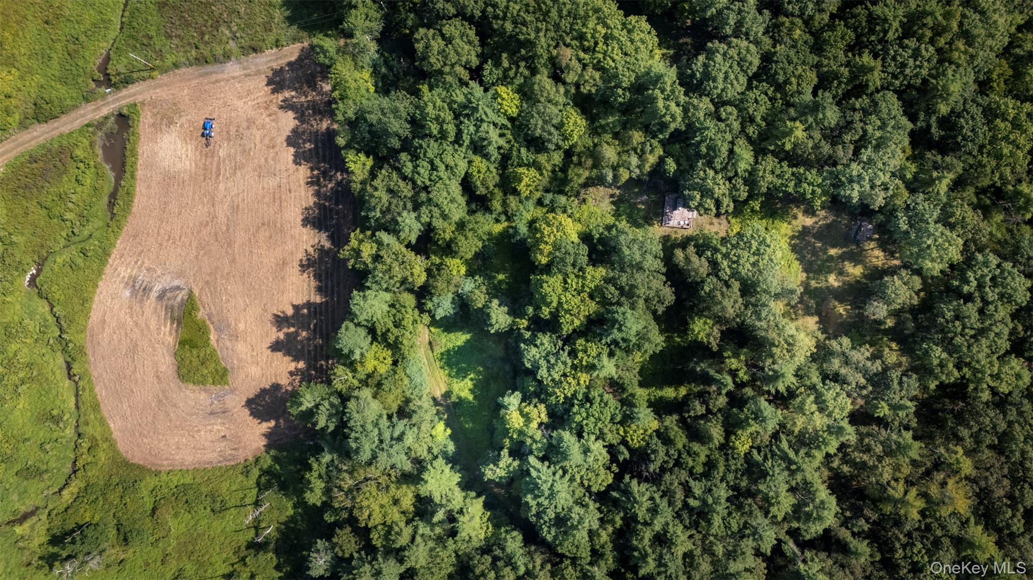 327 Phillips Road Saugerties, NY 12477 - Photo 18 of 24 Aerial view of property's location featuring a heavily wooded area