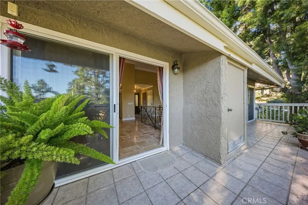 a view of backyard with plants