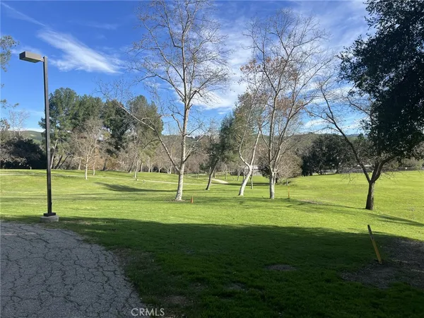 a view of a park with large trees
