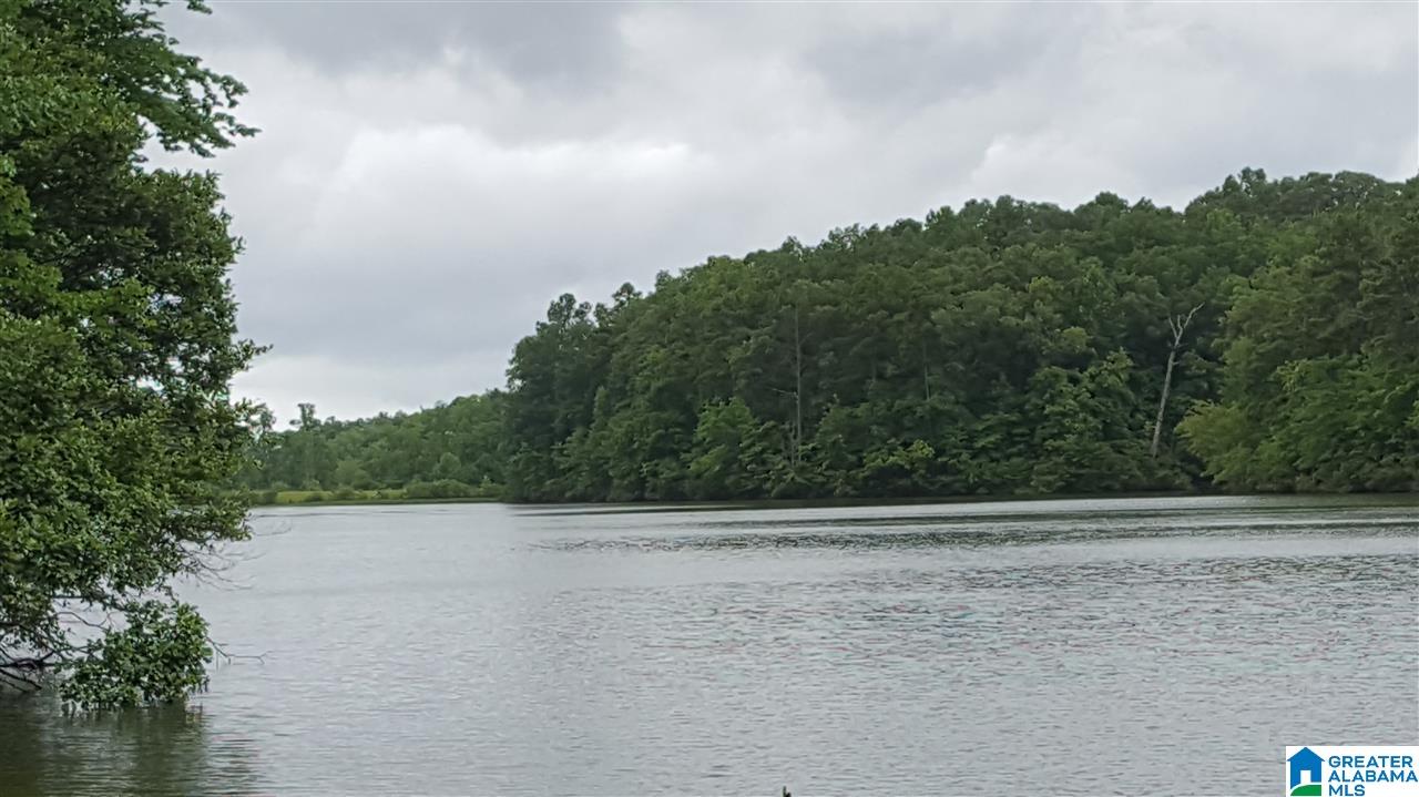 11-acres Deer Run Road, Unit 148330000001 010 Alabaster, AL 35007 - Photo 13 of 34