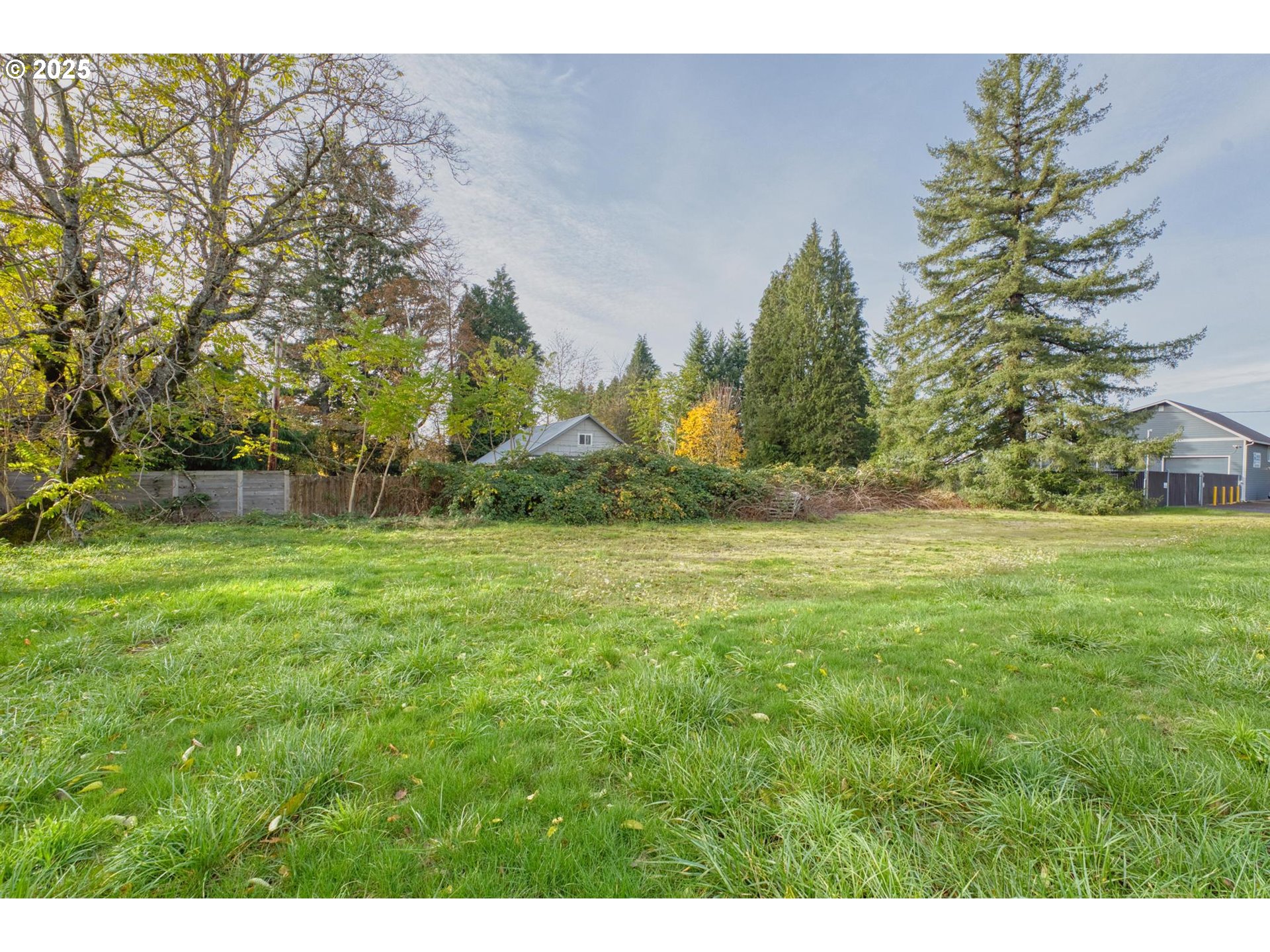 Northeast 252nd Avenue Camas, WA 98607 - Photo 5 of 12 a view of a yard