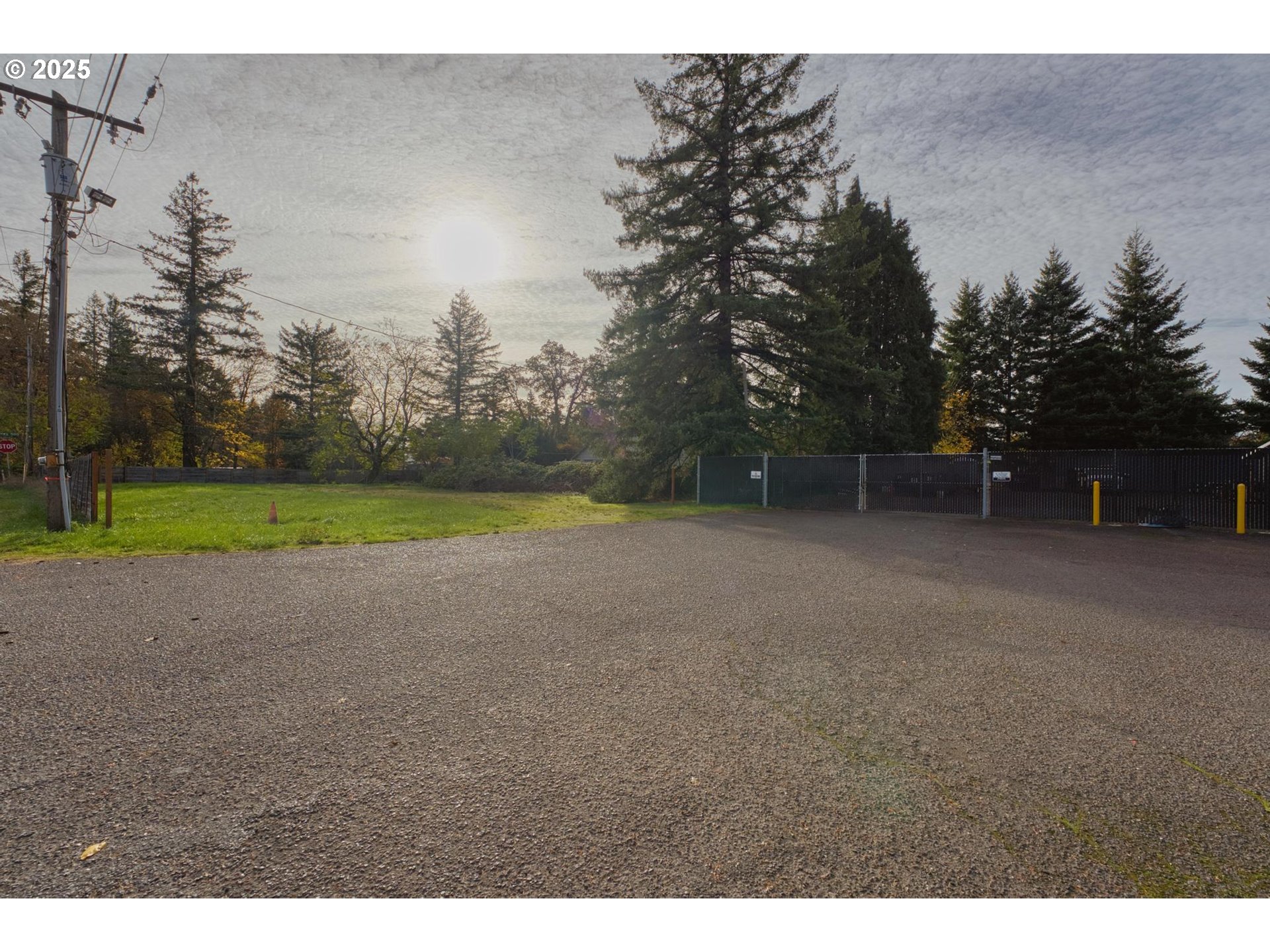 Northeast 252nd Avenue Camas, WA 98607 - Photo 8 of 12 a view of a backyard