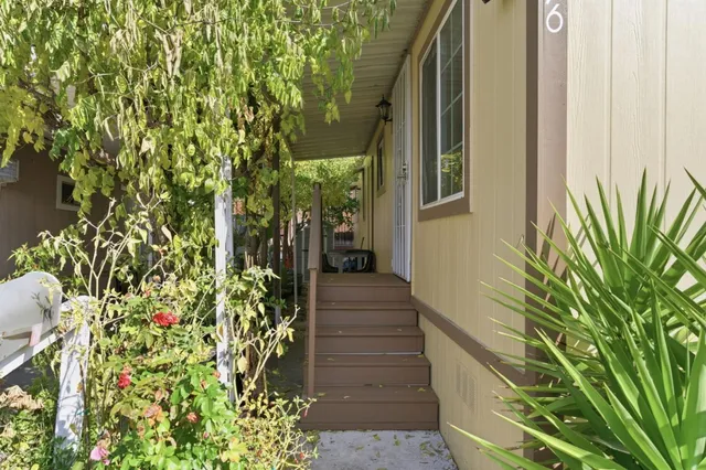 a view of a pathway of the house with flower plants