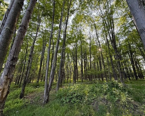 Baumgardner Road Salix, PA 15952 - Photo 7 of 14 Gallery Image 7