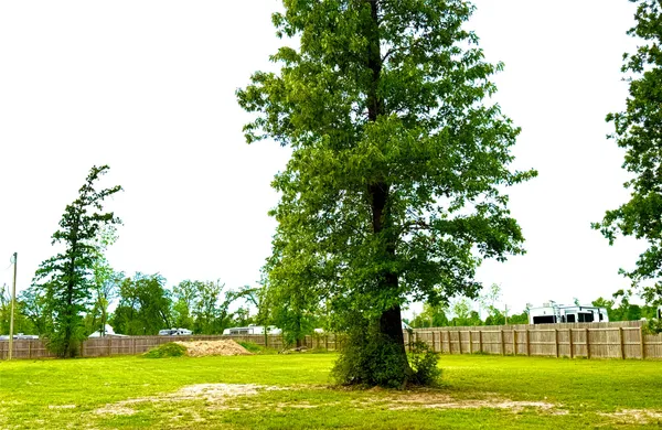 $45,000 | Tbd Lot 15 Tbd Court, Onalaska, TX 77360