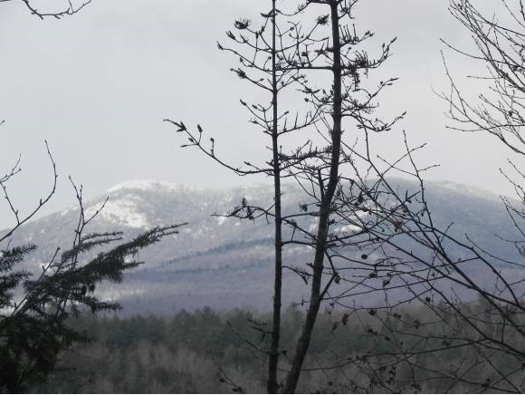 Pratt Road Worcester, VT 05682 - Photo 1 of 1
