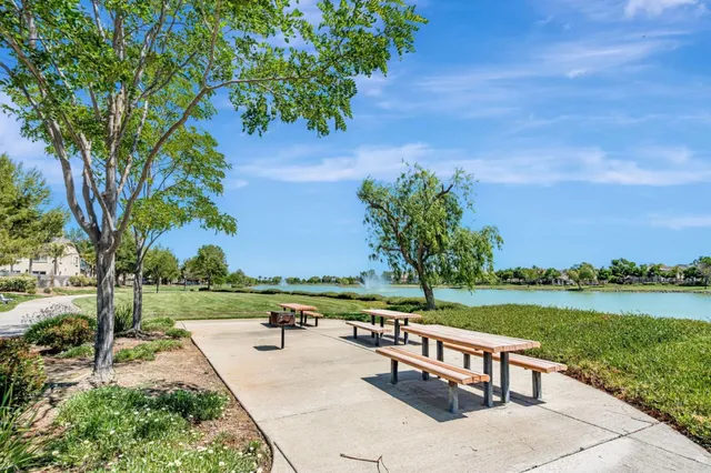 a view of a lake with a yard and a large tree